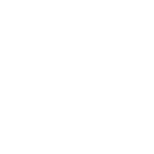 Lupa Logo
